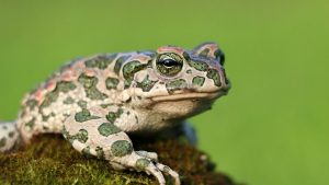 Fun Family Activities in Chesapeake, VA