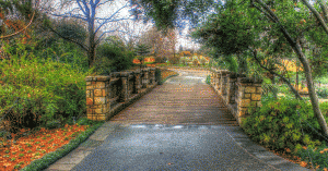 Wooden footbridge along path in an arboretum