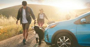 Young couple with their dogs walking to their Toyota Prius C