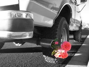 Priority Toyota Chesapeake Car Repair and Service