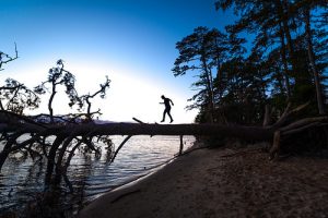 Virginia State Parks