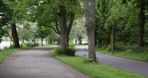Walking Park with Trees and Lake