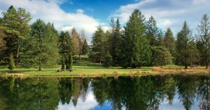 Lakeside view | Priority Toyota Chesapeake