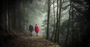 Couple walking along path in pine forest | Priority Toyota Chesapeake