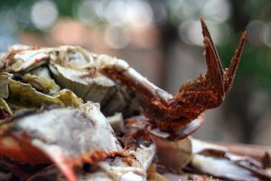 Seafood | Priority Toyota Chesapeake