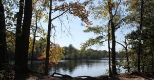 Lake shoreline | Priority Toyota Chesapeake