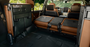 2020 Toyota Land Cruiser | Priority Toyota Chesapeake in Chesapeake, VA