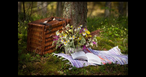 Picnic | Priority Toyota Chesapeake in Chesapeake, VA