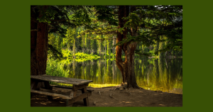 Lakeside | Priority Toyota Chesapeake in Chesapeake, VA