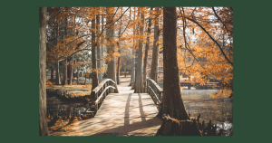 Lake trails | Priority Toyota Chesapeake in Chesapeake, VA