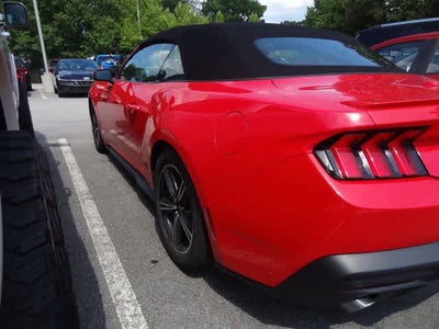 2025 Ford Mustang EcoBoost