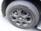 2025 Toyota Sienna Woodland Edition