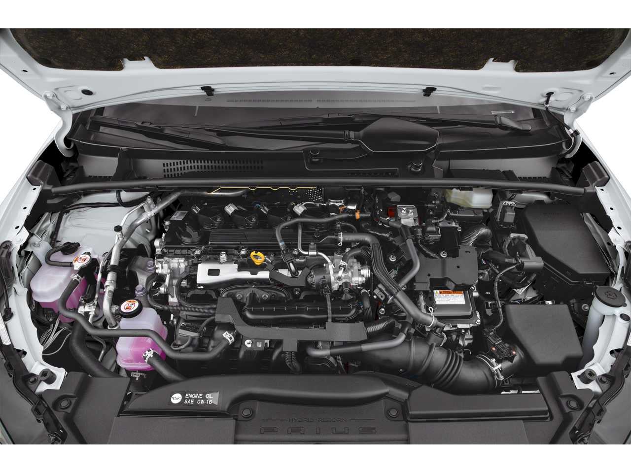 2025 Toyota Prius XLE