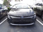 2025 Toyota Corolla Hybrid XLE
