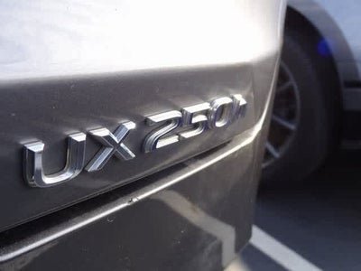 2021 Lexus UX UX 250h