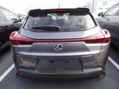 2021 Lexus UX UX 250h