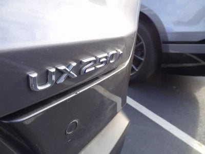 2021 Lexus UX UX 250h