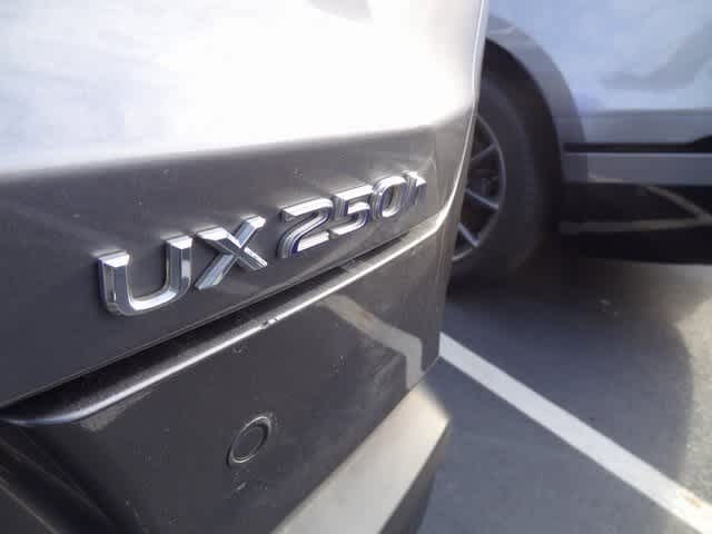 2021 Lexus UX UX 250h